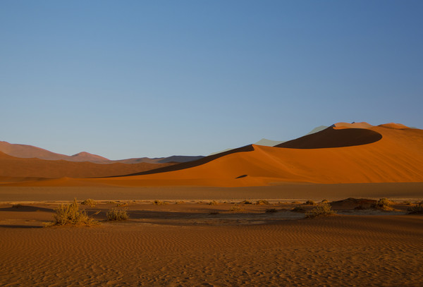 Sand dunes at Sossusvlei, Namibia Picture Board by Hazel Wright
