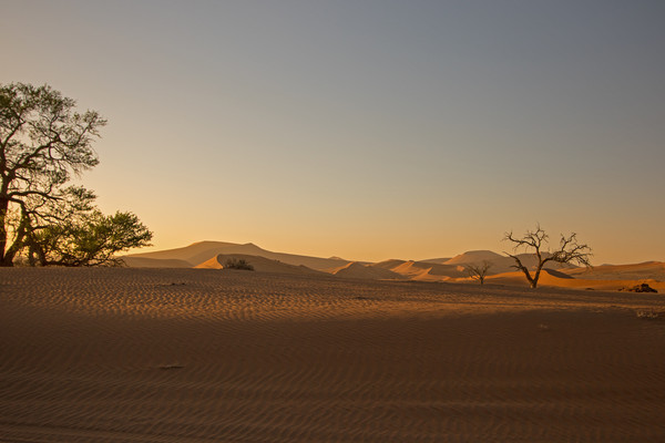 Sunrise at Sossusvlei, Namibia Picture Board by Hazel Wright