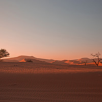 Buy canvas prints of Sand dunes at Sossusvlei by Hazel Wright