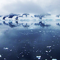 Buy canvas prints of Wilhelmina Bay, Antarctica by Hazel Wright
