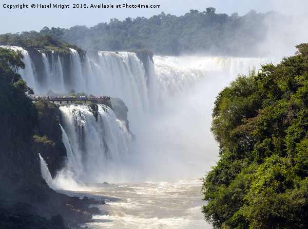 Iguazu Falls, Argentina Picture Board by Hazel Wright