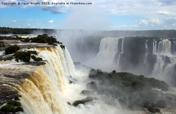 Iguazu Falls, Brazil Picture Board by Hazel Wright