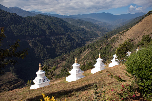 khamsung yuelley namgyal stupa, Bhutan Picture Board by Hazel Wright