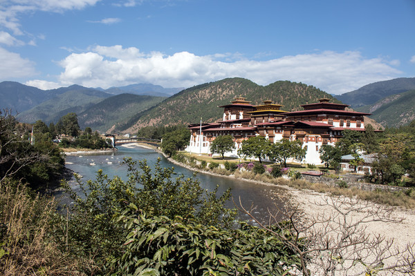Punakha Dzong, Bhutan Picture Board by Hazel Wright