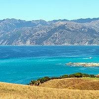 Buy canvas prints of View from Kaikoura Peninsula, New Zealand by Hazel Wright