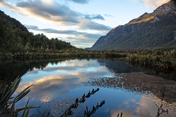 Mirror Lake, New Zealand Picture Board by Hazel Wright