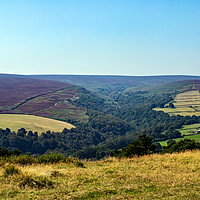 Buy canvas prints of Whitwell Moor, Peak District, England by Hazel Wright