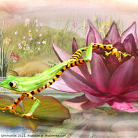Buy canvas prints of Leap Frog  by Trudi Simmonds