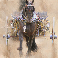 Buy canvas prints of Friesian Style by Trudi Simmonds