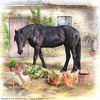 Buy canvas prints of The Stable Yard by Trudi Simmonds