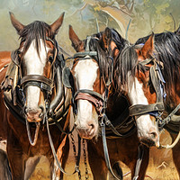 Buy canvas prints of Clydesdale Conversation by Trudi Simmonds