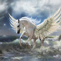 Buy canvas prints of Pegasus Rising by Trudi Simmonds
