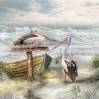 Buy canvas prints of Pelican Point by Trudi Simmonds