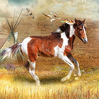 Buy canvas prints of Little Apache by Trudi Simmonds
