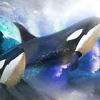 Buy canvas prints of Orca Wild by Trudi Simmonds