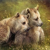 Buy canvas prints of Bear Hugs by Trudi Simmonds