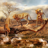 Buy canvas prints of Cheetah Trio by Trudi Simmonds