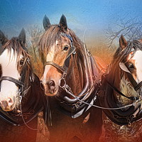 Buy canvas prints of We Three by Trudi Simmonds
