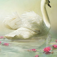 Buy canvas prints of Swan Song by Trudi Simmonds