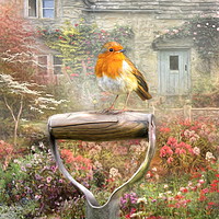 Buy canvas prints of Robins Garden by Trudi Simmonds