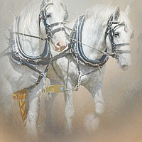 Buy canvas prints of Percheron by Trudi Simmonds