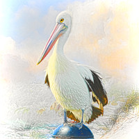 Buy canvas prints of The Pelican by Trudi Simmonds