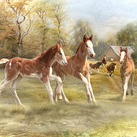 Buy canvas prints of Foal Fun at Form Farm by Trudi Simmonds