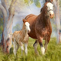 Buy canvas prints of Clydesdale Mare and Foal by Trudi Simmonds