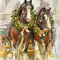 Buy canvas prints of Christmas Clydesdales by Trudi Simmonds