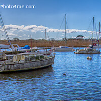 Buy canvas prints of Boats on the River Stour (panoramic) by Derek Daniel