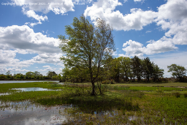 Hatchet Pond, New Forest East Boldre Picture Board by Derek Daniel