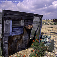 Buy canvas prints of Rustic Charm of the Fishermans Hut by Derek Daniel