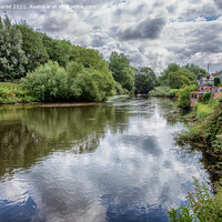 Buy canvas prints of Paddle Boarder on the River Stour by Derek Daniel