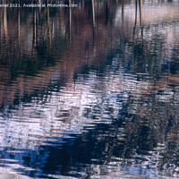 Buy canvas prints of Lakeland Reflection by Derek Daniel