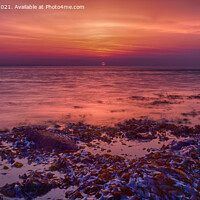 Buy canvas prints of Sunrise at Peveril Point, Swanage by Derek Daniel
