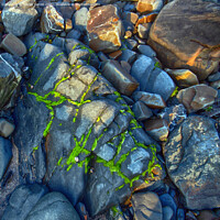 Buy canvas prints of Moss covered Rocks by Derek Daniel