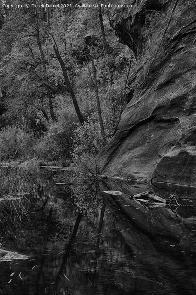 Oak Creek Canyon, Sedona (mono) Picture Board by Derek Daniel