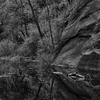 Buy canvas prints of Oak Creek Canyon, Sedona (mono) by Derek Daniel