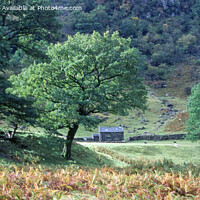 Buy canvas prints of Autumnal Magic in Borrowdale by Derek Daniel