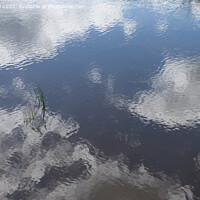 Buy canvas prints of Hatchet Pond Reflection by Derek Daniel