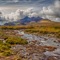 Buy canvas prints of Moody Scottish Landscape by Derek Daniel