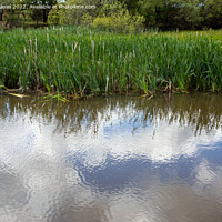 Buy canvas prints of Hatchet Pond, New Forest East Boldre by Derek Daniel