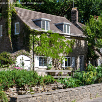 Buy canvas prints of Enchanting Dorset Village Cottage by Derek Daniel