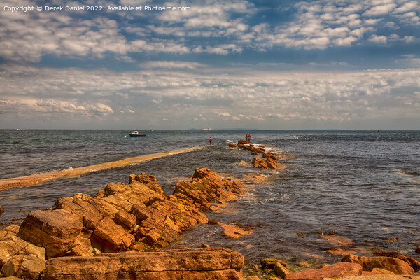 Fishing on the rocks at Peveril Point, Swanage Picture Board by Derek Daniel