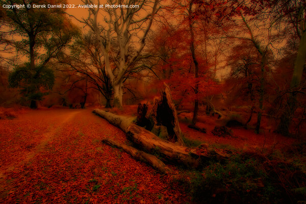 Enchanted Autumn Forest Picture Board by Derek Daniel