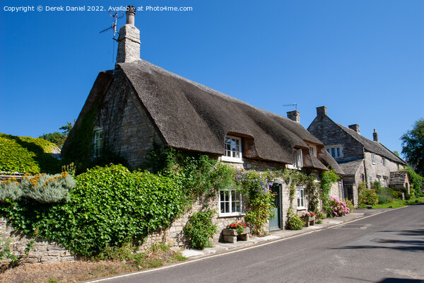 Enchanting Thatched Cottage in Dorset Picture Board by Derek Daniel