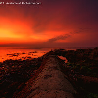 Buy canvas prints of Sunrise at Peveril Point, Swanage (panoramic) by Derek Daniel
