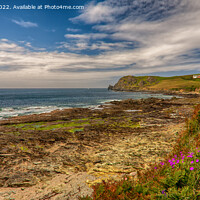 Buy canvas prints of Wild Beauty of East Prawle by Derek Daniel