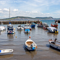 Buy canvas prints of Lyme Regis Harbour by Derek Daniel
