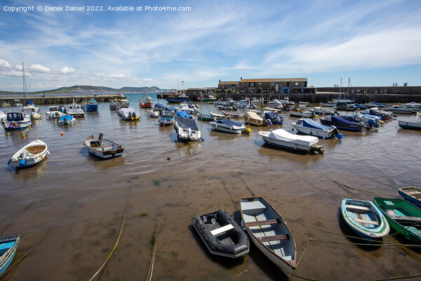 Lyme Regis Harbour Picture Board by Derek Daniel
